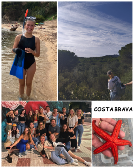 Collage aus Bilder der coata Brava, Mädchen mit Schnorchel, Seestern, Landschaft und Gruppe aus Schülern